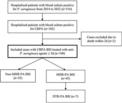 Assessment of mortality-related risk factors and effective antimicrobial regimens for treatment of bloodstream infections caused by carbapenem-resistant Pseudomonas aeruginosa in patients with hematological diseases